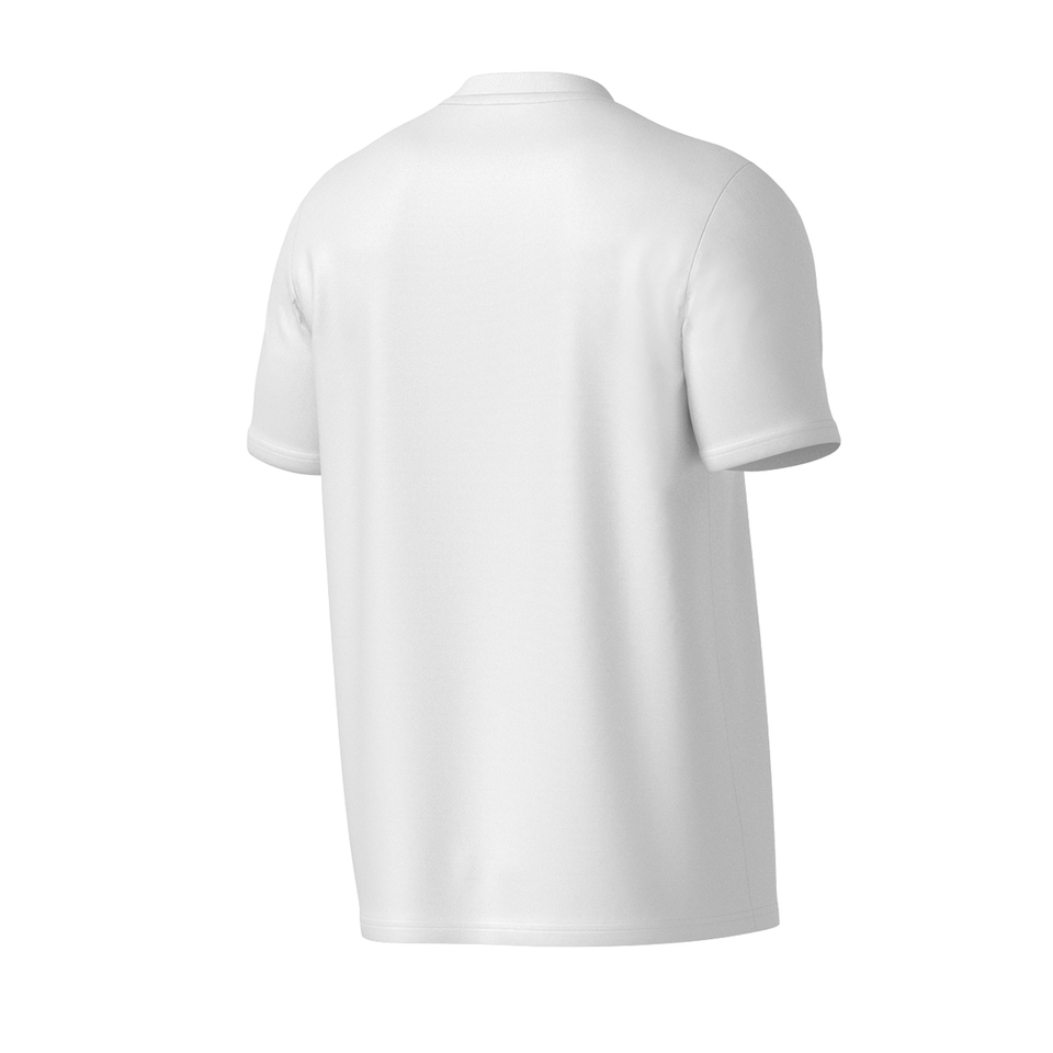 Camiseta Fila Basic Sports Graphic Masculina